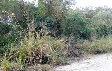 Imagem 7: Lote/Terreno para venda com 591 metros quadrados em Maria Paula - São Gonçalo - RJ