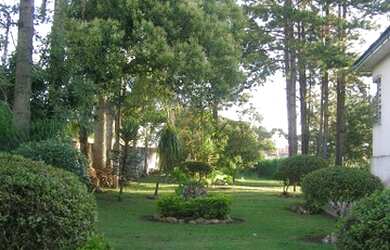 Imagem: O terreno possui 17.183m² de Área e está localizado em Estados