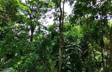 Imagem: O terreno possui 2.772m² de Área e está localizado em São