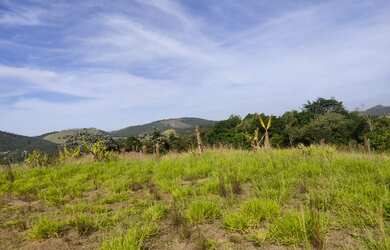 Imagem 10: Lote/Terreno para venda tem 5000 metros quadrados em Jardim Maia - Guarulhos...