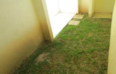 Imagem 5: Homer Captações -2062253