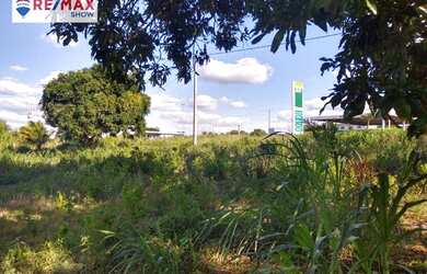 Imagem 4: Vendo terreno rural na BR 423