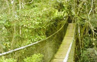 Imagem 3: Costeira espetacular. Piscina, Churrasqueira, Ar-condicionadoe800m² de...