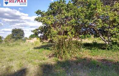 Imagem 9: Vendo terreno rural na BR 423