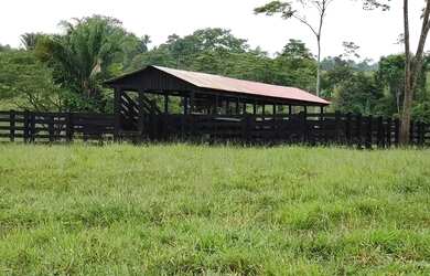 Imagem 16: Vendo uma linda fazendinha