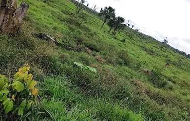 Imagem 7: Vendo uma linda fazendinha