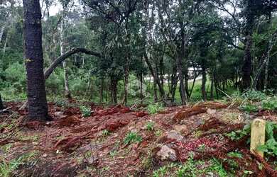 Imagem 16: Excelente terreno amplo com boa frente