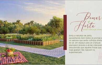 Imagem 13: Jardins Turim. 257m² de Área