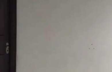 Imagem 4: Terreno à venda, 250 m² por R$ 649.000,00 - Rio Pequeno - São Paulo/SP