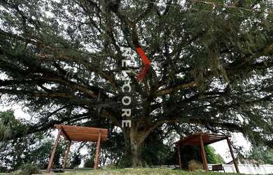 Imagem: O terreno à venda possui e está localizado em Cocão, Viamão