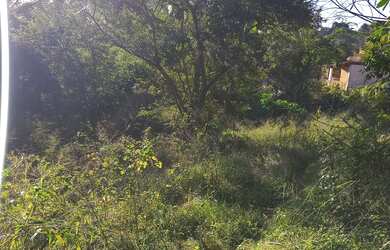 Imagem 4: Vendo ou troco. 