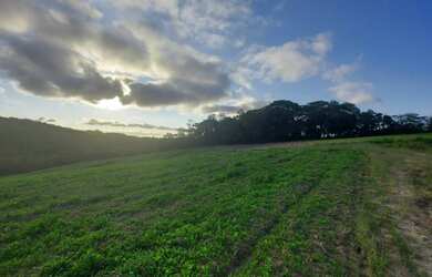 Imagem 4: o26/ Terreno para venda tem 500 metros quadrados em Cotia-SP -