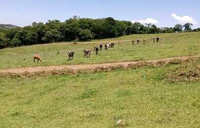 Imagem 12: Vende-se terreno em Atibaia