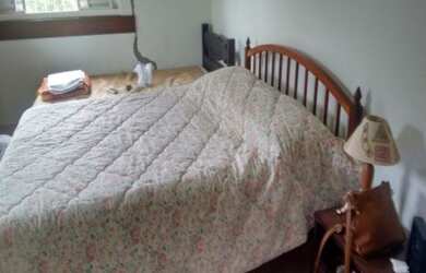 Imagem 6: CAMPO LIMPO PAULISTA - RESIDENCIAL - PAU ARCADO