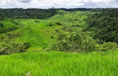Imagem: A fazenda está localizado em Manoel Urbano, AC à venda por
