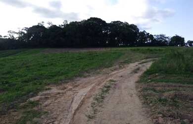 Imagem: O terreno possui 500m² de Área e está localizado em Veloso