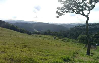 Imagem 7: Lote/Terreno para venda possui 1000 metros quadrados em vila verde