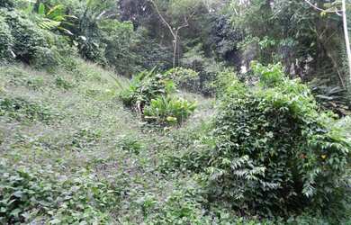 Imagem 2: RIO DE JANEIRO - Loteamento/Condomínio - JARDIM BOTÂNICO