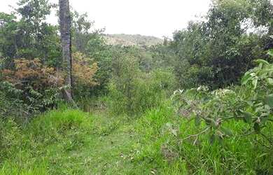 Imagem: O terreno possui 20.000m² de Área e está localizado em Jaboticatubas