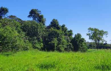 Imagem 2: Excelentes Terrenos Financiados em São Gonçalo do Pará