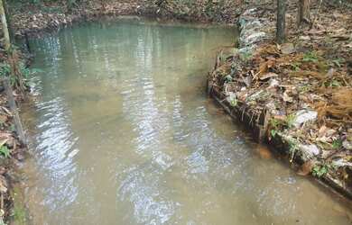 Imagem 6: Vendo Sítio 50 hectares na Alça Viária KM 32. Terreno 500.000m2