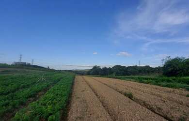 Imagem 3: o26/ Terreno para venda tem 500 metros quadrados em Cotia-SP -