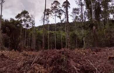 Imagem 2: Área à venda, 20978 m² por R$ 250.000,00 - Vila Olinda - Nova Petrópolis/RS