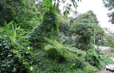 Imagem 6: RIO DE JANEIRO - Loteamento/Condomínio - JARDIM BOTÂNICO