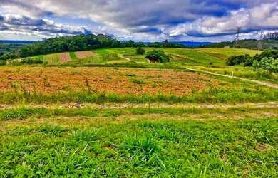 Imagem 10: Lote/Terreno para venda tem 500 metros quadrados em Morro Grande - Cotia - SP