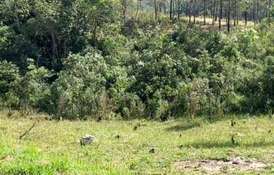 Imagem 13: Lote/Terreno para venda possui 1000 metros quadrados em Vila Santista...