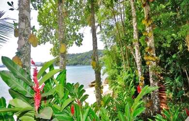 Imagem 12: Angra dos Reis - Casa de Condomínio - Porto Frade