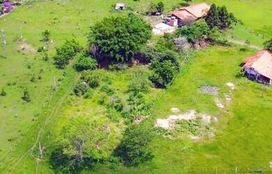 Imagem: A fazenda possui 85m² de Área e está localizado em Conchas