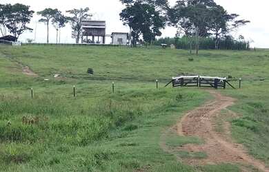 Imagem 15: Vendo uma linda fazendinha