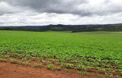Imagem: A fazenda está localizado em Doverlândia, GO à venda por