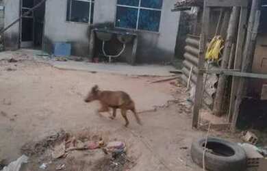 Imagem 11: Casa - Icaivera Betim