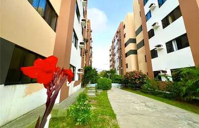 Imagem 3: Apartamento à venda, Mirante da Lagoa 2/4 na Santa Amelia, por R$ 169.900