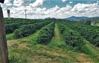 Imagem: A fazenda possui 968.000m² de Área e está localizado em