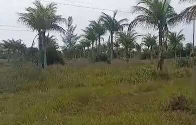 Imagem: A fazenda possui 3000800m² de Área e está localizado em Quissamã