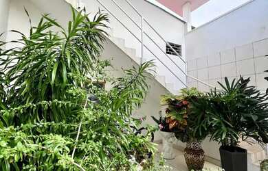 Imagem 11: Apartamento mobiliado Icoaracy