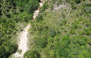 Imagem 4: Fazenda Mista em Conde -BA