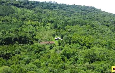 Imagem 2: Sítio / Chácara para Venda em Nova Petrópolis, Linha Olinda, 2 dormitórios,...