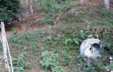 Imagem 7: 10 mil mts nas montanhas com lago 167 mil reais