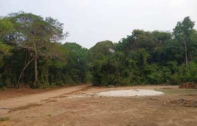 Imagem 2: Vendo terreno. 1.000m² de Área