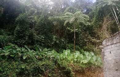 Imagem 3: OPORTUNIDADE 70 mil reais rica em agua