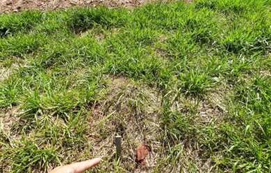 Imagem 8: Terreno Declive à Venda - 420 m² - Itahyê, Tamboré