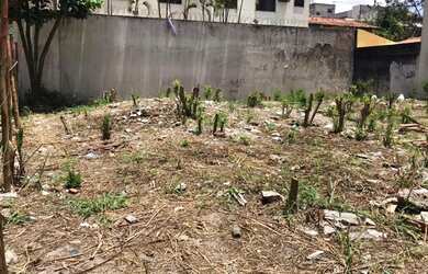 Imagem 7: Excelente Terreno na Gleba A do Recreio dos Bandeirantes