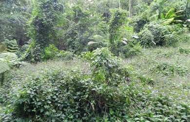 Imagem 3: RIO DE JANEIRO - Loteamento/Condomínio - JARDIM BOTÂNICO