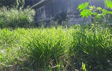 Imagem 10: Terreno no Jardim São Bento com todas as aprovações de todos os órgãos pronto para constru
