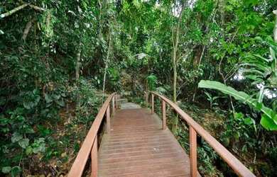 Imagem 6: Angra dos Reis - Casa de Condomínio - Porto Frade