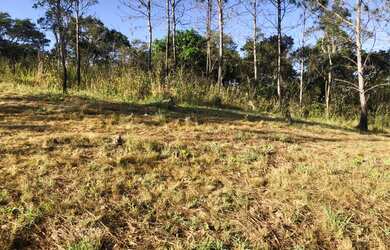 Imagem 3: Lote/Terreno para venda possui 1000 metros quadrados em Jardim Tapajós...